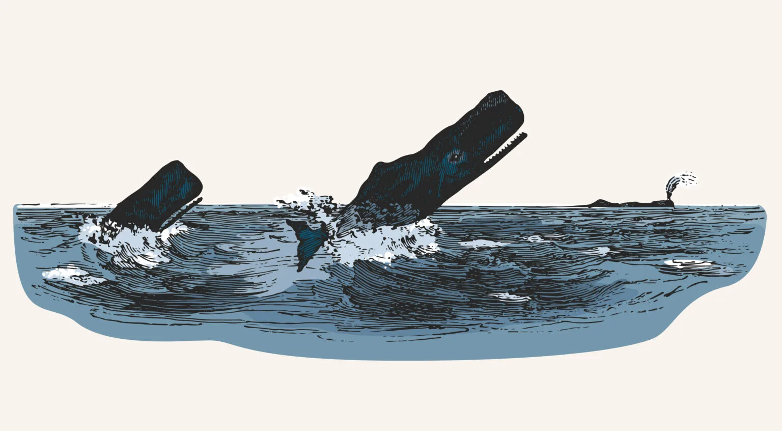 A Saga de Moby Dick.